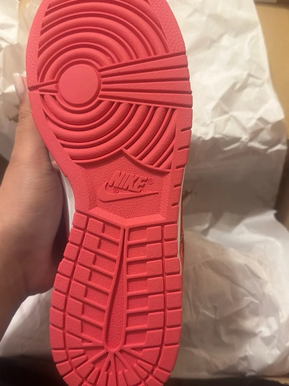 Brand new  women’s ' dunks